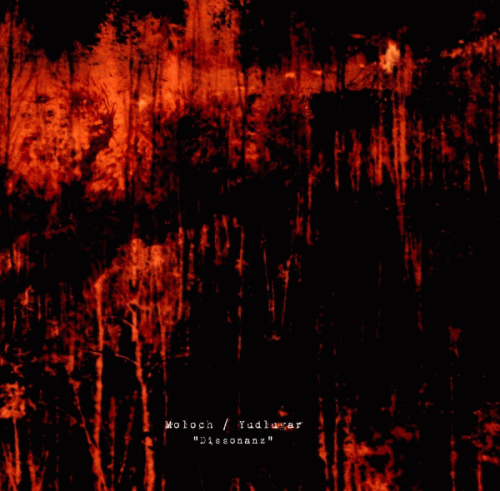 Moloch (UKR) : Dissonanz